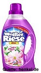 weisser_riese_kirschbluten_frische