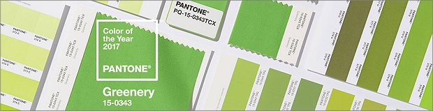 Pantone Farbe des Jahres 2017 - Greenery