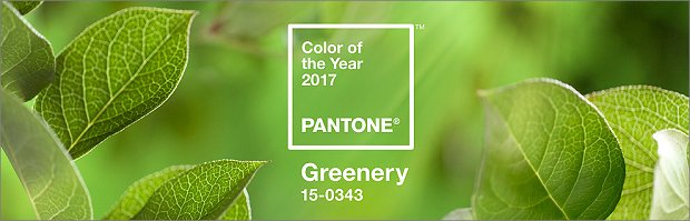 Pantone Farbe des Jahres 2017 - Greenery