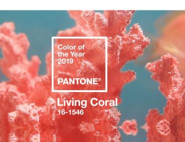Pantone Farbe des Jahres 2019 – Korallenrot